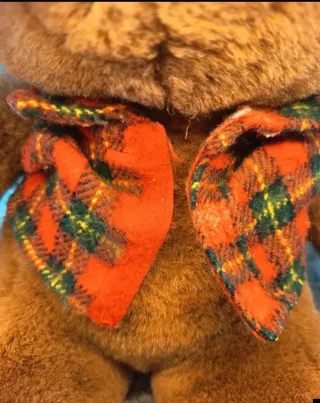 Peluche Orsacchiotto Marrone con Gilet