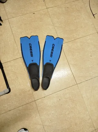 Motor eléctrico y Pato float tube Abu Garcia