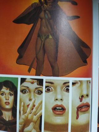 Lote El Mercenario - Vicente Segrelles