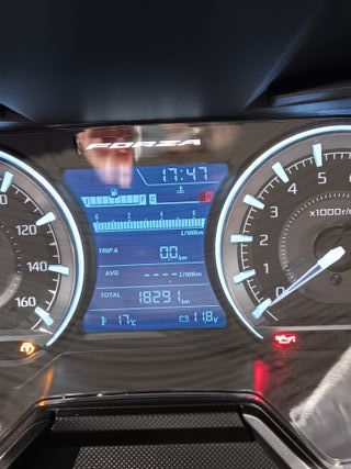 Honda Forza 350 2023 Gris