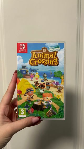 Animal Crossing New Horizons Switch