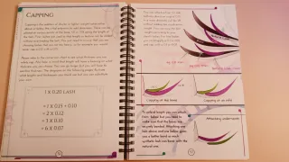 Manual avanzado de extensiones de pestañas