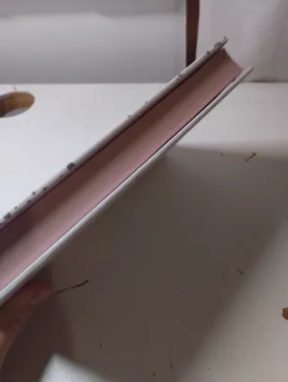 Un desastre de cumpleaños (La diversión de Martina