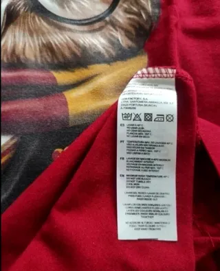 Camiseta Harry Potter.