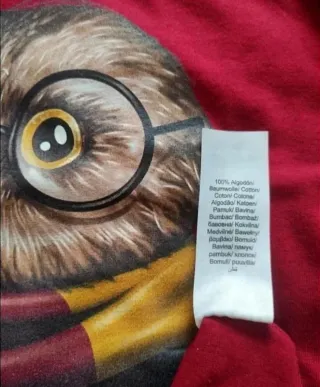 Camiseta Harry Potter.