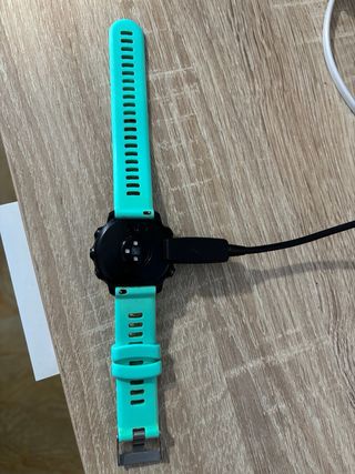 Garmin Forerunner 245 Azul/Verde