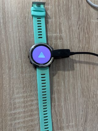 Garmin Forerunner 245 Azul/Verde