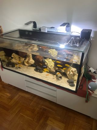 Acuario 300L