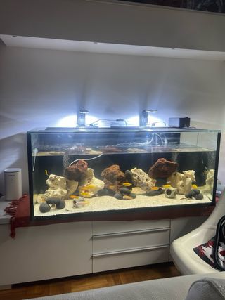 Acuario 300L