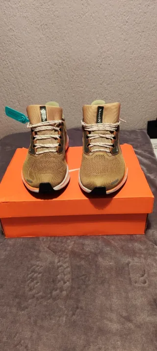 Nike Air Zoom Pegasus 41 Talla 41