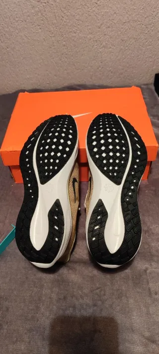 Nike Air Zoom Pegasus 41 Talla 41