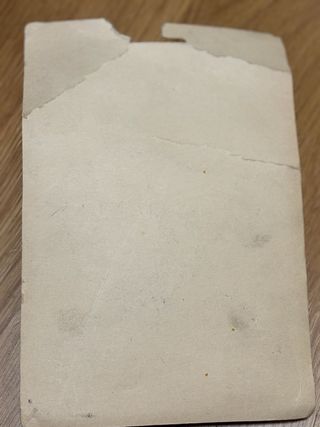 Postizo Nancy Famosa