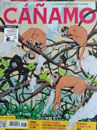 Lote de 10 revistas de cáñamo