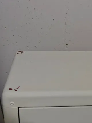 Armario KOLBJÖRN IKEA - NEGOCIABLE