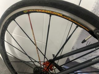 Bicicleta Bergamont Dolce + Rodillo Wahoo