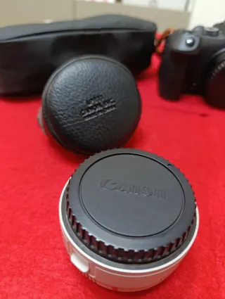 Canon Extender EF 1.4x III