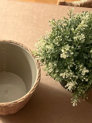 Planta artificial con cesto tejido