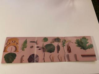 Disco Botánica - Abe Rábade