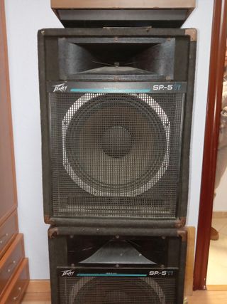 2 Bafles Peavey SP5 Ti