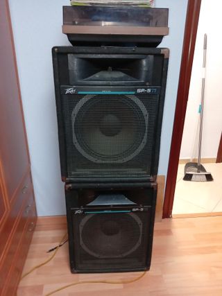2 Bafles Peavey SP5 Ti