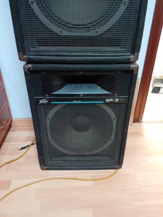 2 Bafles Peavey SP5 Ti