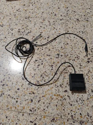 Pedal Roland DP-2 Sustain