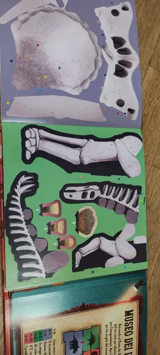 Costruisci il tuo museo dei dinosauri Con 5 pop up