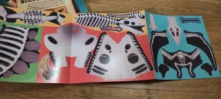 Costruisci il tuo museo dei dinosauri Con 5 pop up