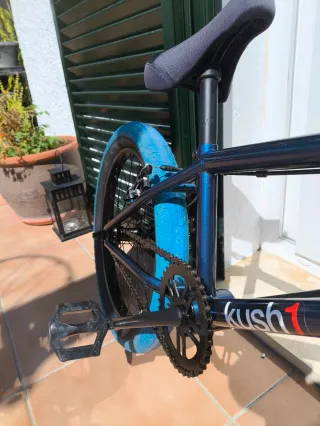 BMX Mafia Kush1 Azul