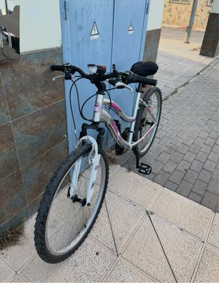 Bicicleta de montaña plateada