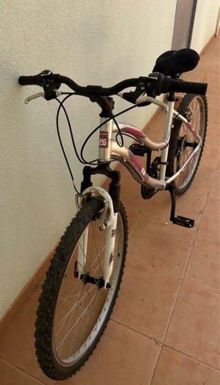 Bicicleta de montaña plateada