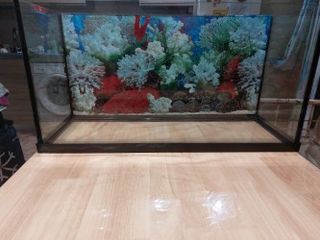 URNA ACUARIO 97 LITROS