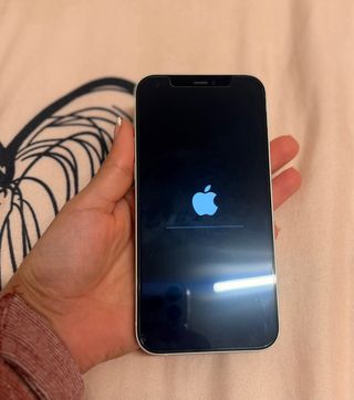 iPhone 12 Plata 10/10