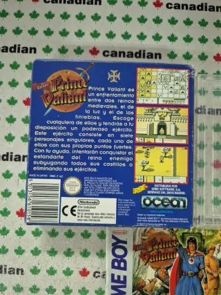 The Legend of Prince Valiant Game Boy