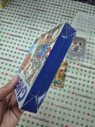 The Legend of Prince Valiant Game Boy