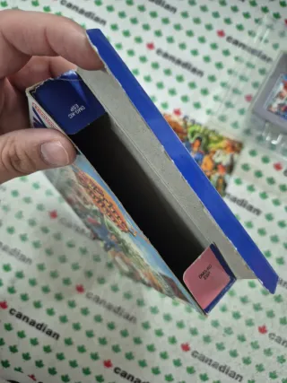 The Legend of Prince Valiant Game Boy