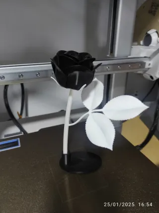 REGALOS PARA San Valentín 3DSV