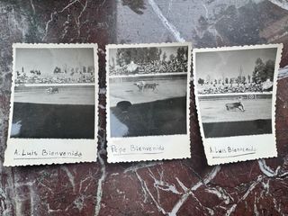 Lote de Fotos Antiguas Plaza de Toros León CastilC