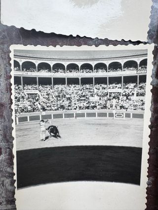 Lote de Fotos Antiguas Plaza de Toros León CastilC