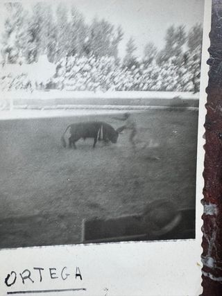 Lote de Fotos Antiguas Plaza de Toros León CastilC