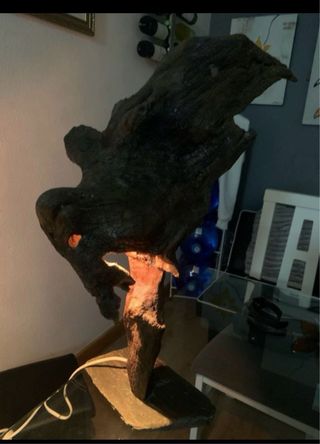 Lámpara cepa de viña gallega 3️⃣0️⃣€