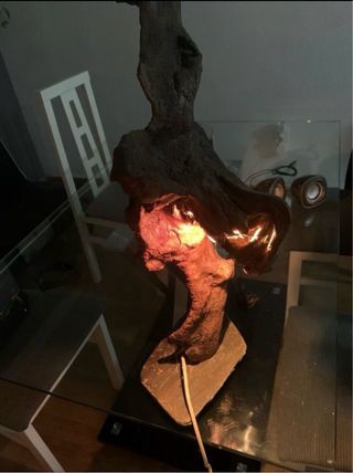 Lámpara cepa de viña gallega 3️⃣0️⃣€