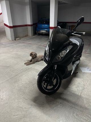 Kymco Superdink 300i ABS