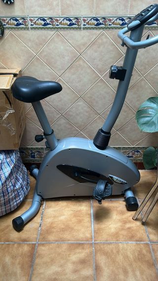 Bicicleta Estática Gris