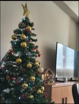 Árbol de Navidad y Nacimiento