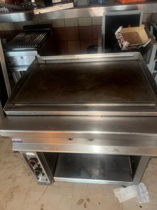 Plancha profesional Repagas