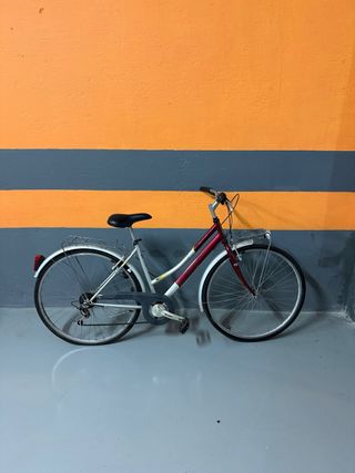 Bicicleta de paseo plateada y burdeos