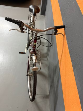 Bicicleta de paseo plateada y burdeos