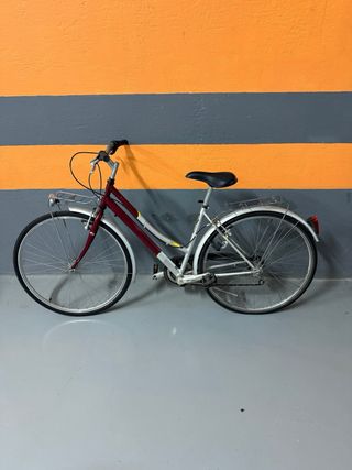 Bicicleta de paseo plateada y burdeos