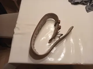 Cinturón de musculación Salter